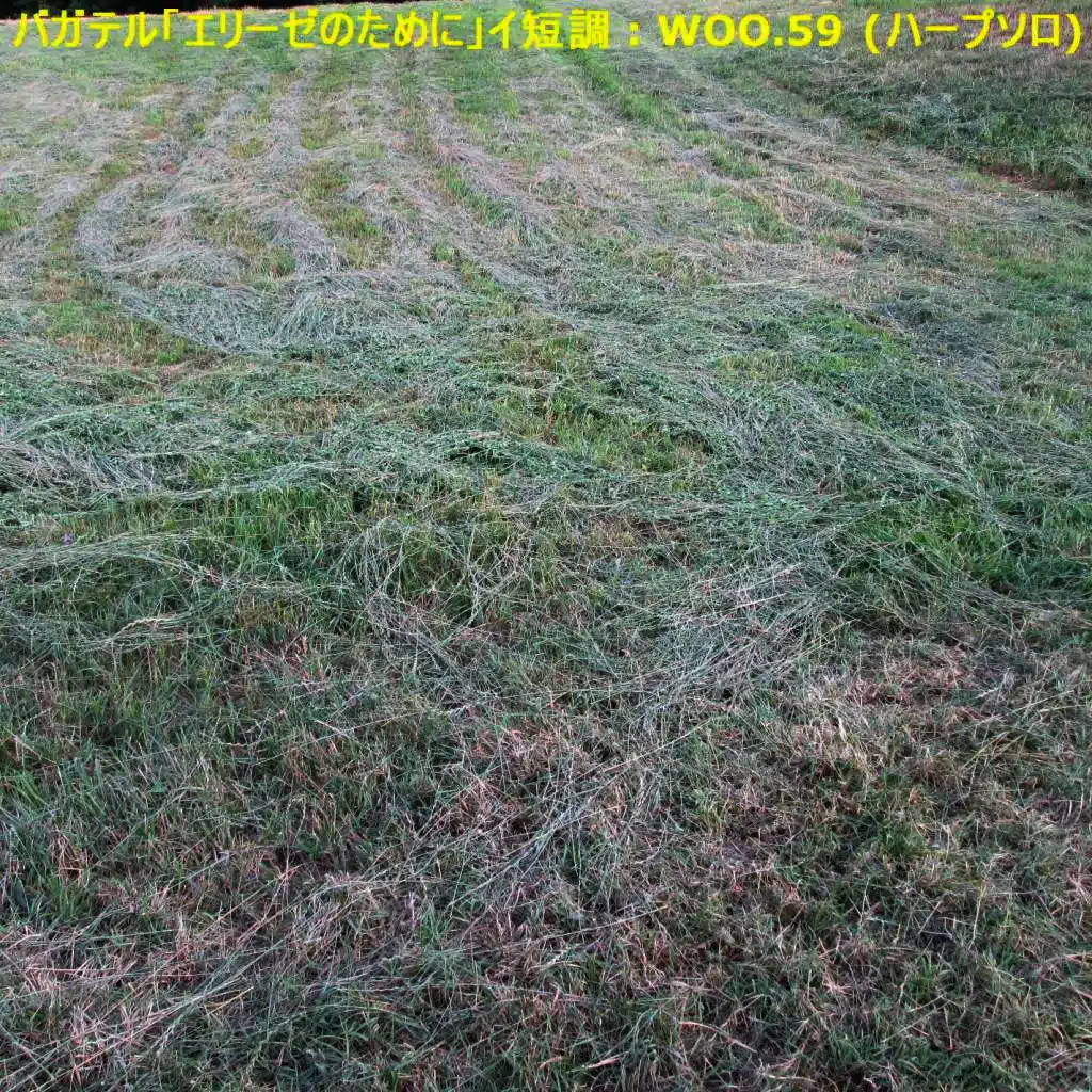 バガテル「エリーゼのために」イ短調 : WoO.59 (ハープソロ)