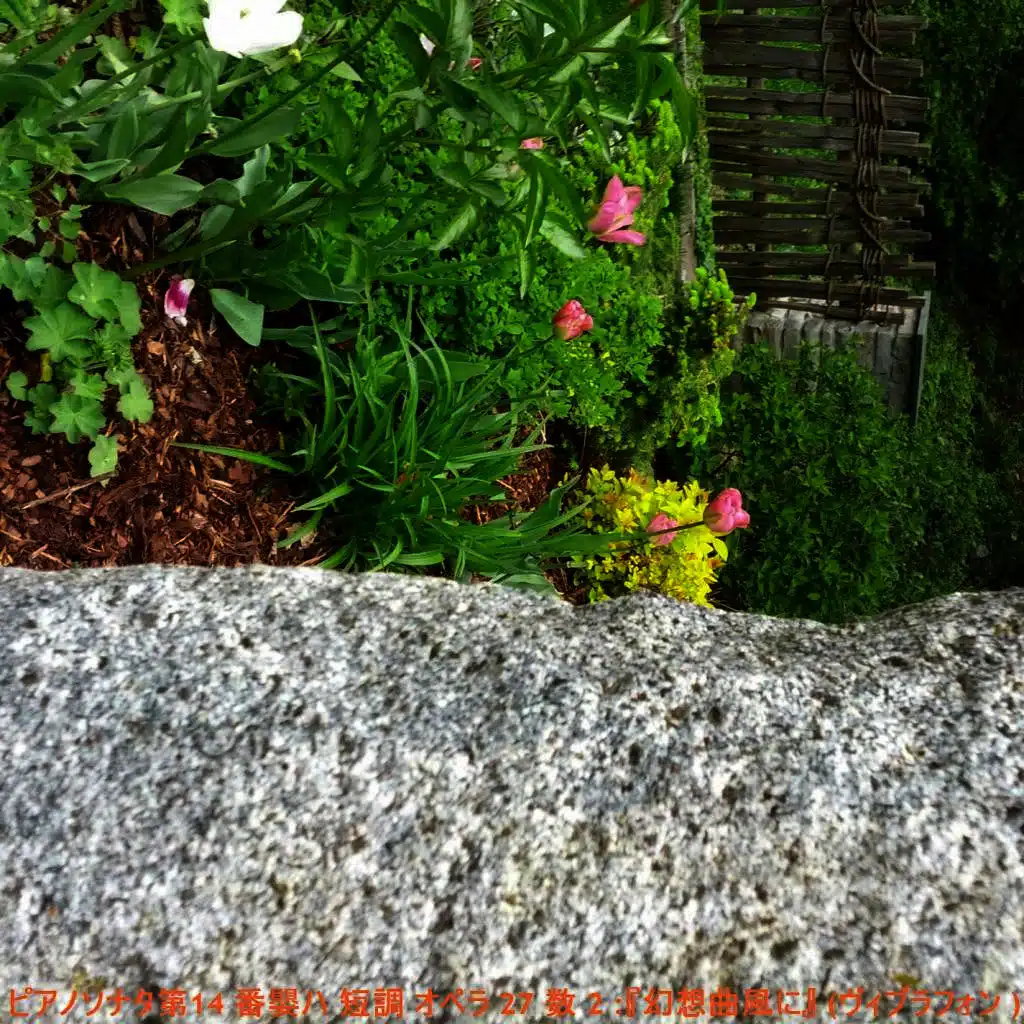 ピアノソナタ第14 番嬰ハ 短調 オペラ 27 数 2 :『幻想曲風に』 (ヴィブラフォン )