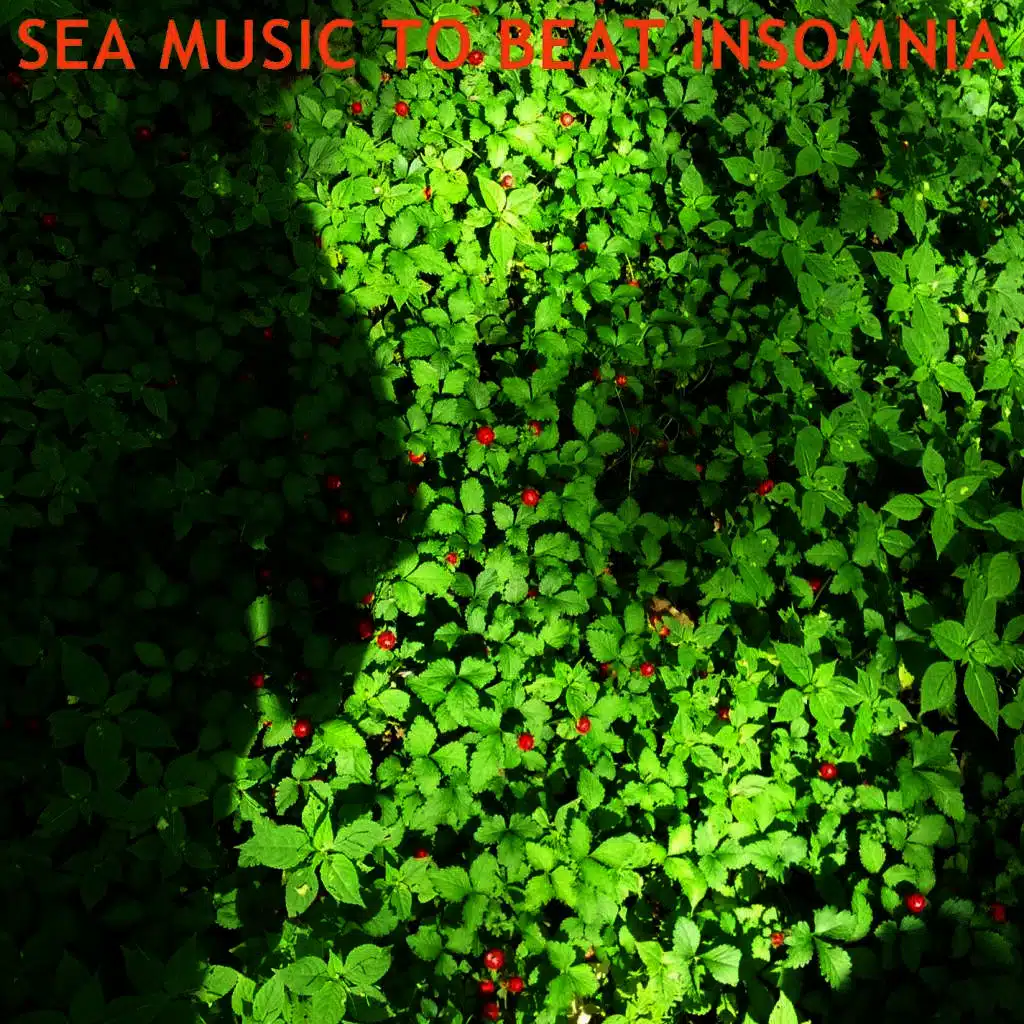 Sea Music To Beat Insomnia