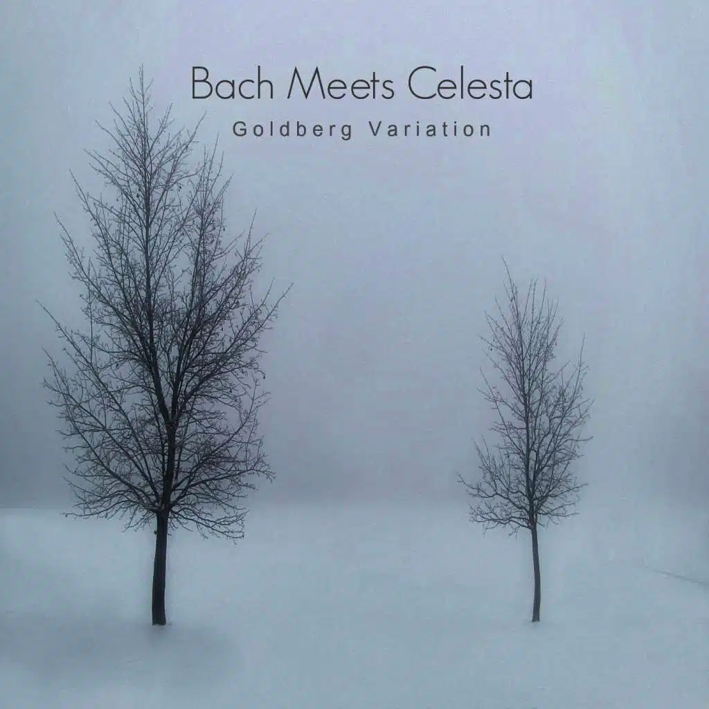 Bach Meets Celesta - Goldberg Variation