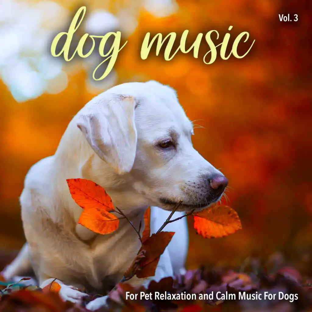 The Most Relaxing Music For Dogs
