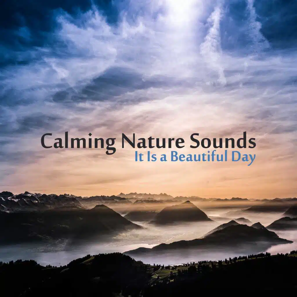 Calming Nature Sounds – It Is a Beautiful Day