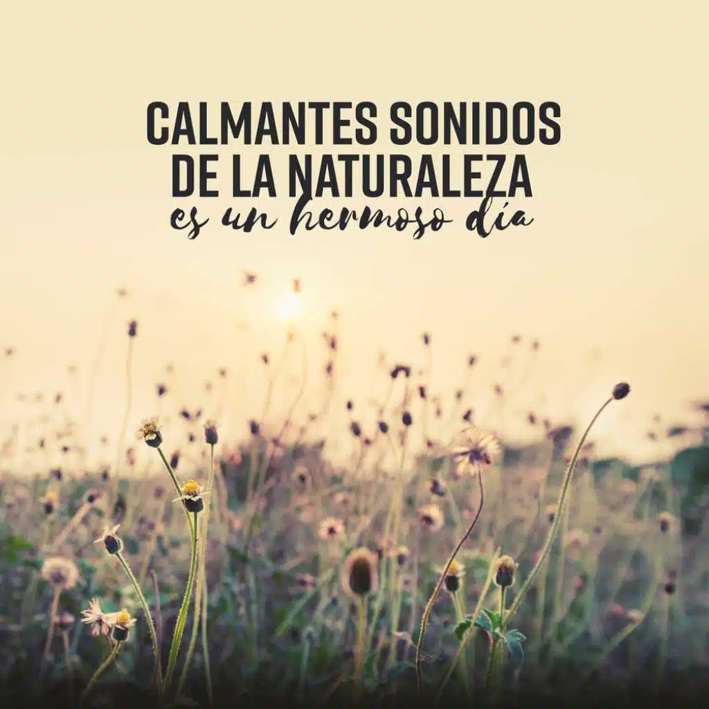 Calmantes sonidos de la naturaleza