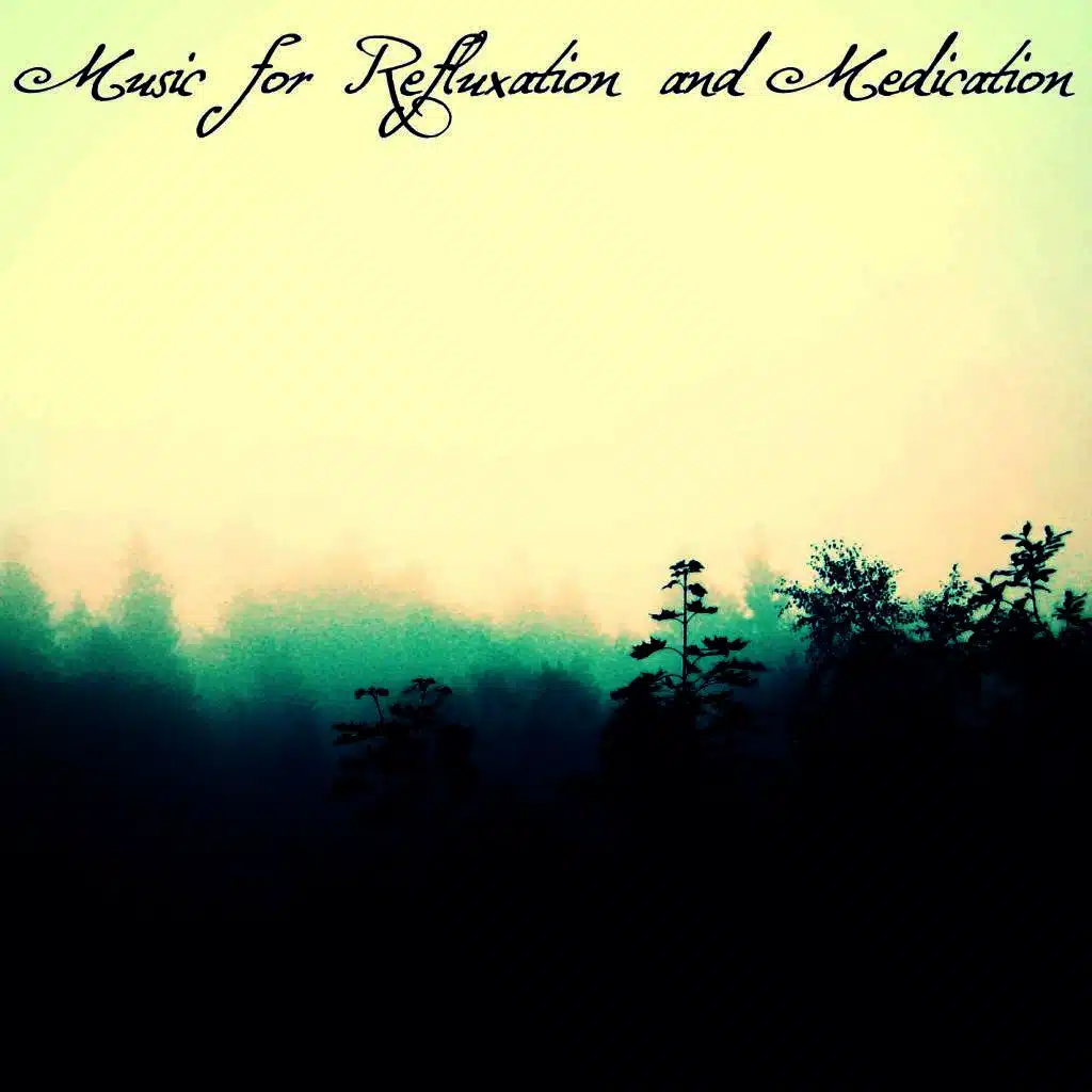 Music for Refluxation and Medication