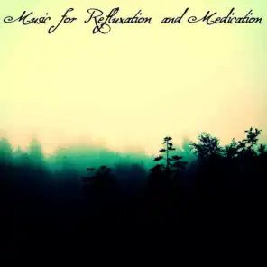 Music for Refluxation and Medication