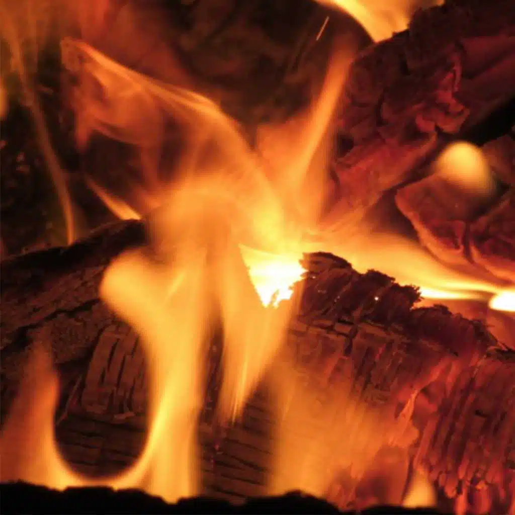 Translucent Peace (feat. Xamorai)