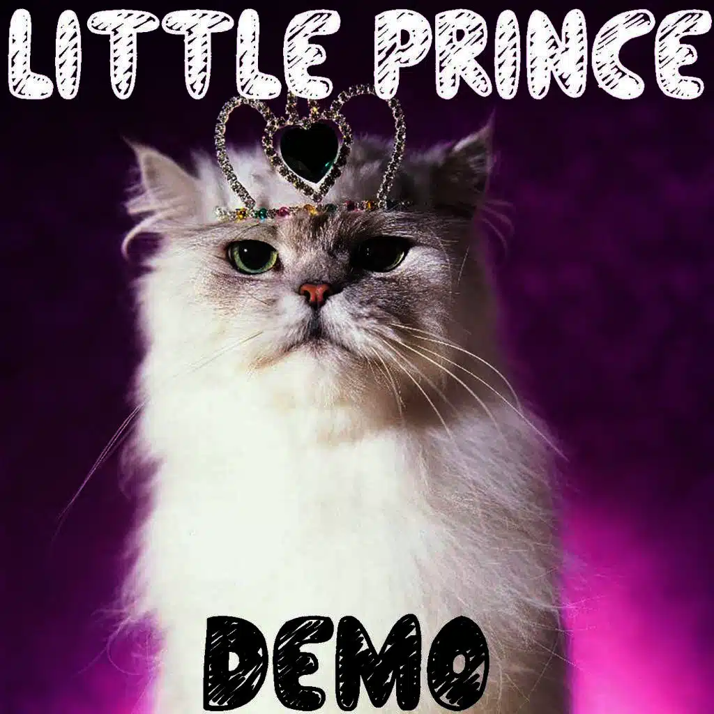 Demo