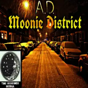 Moonie district