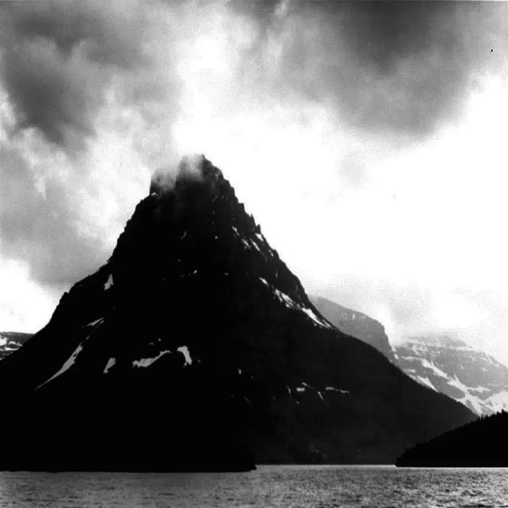 Little American Champ