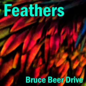 Feathers (Upbeat Synthwave with Bruce Beer Drive)