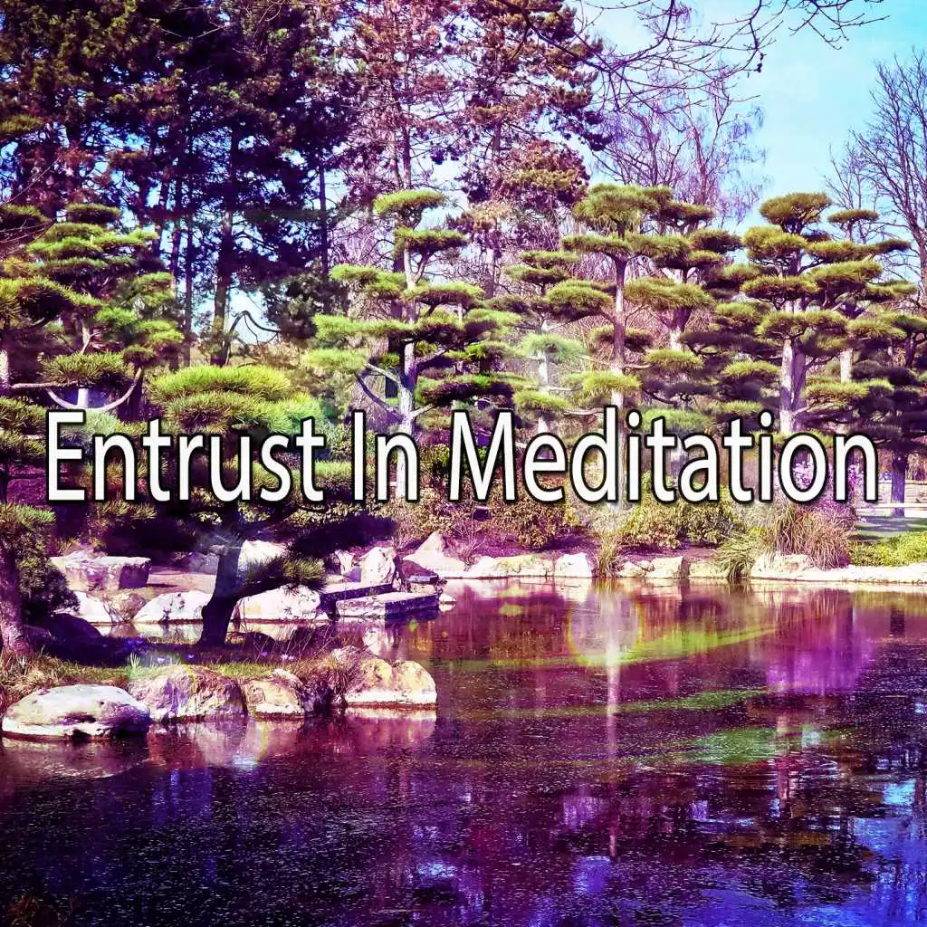 Entrust In Meditation