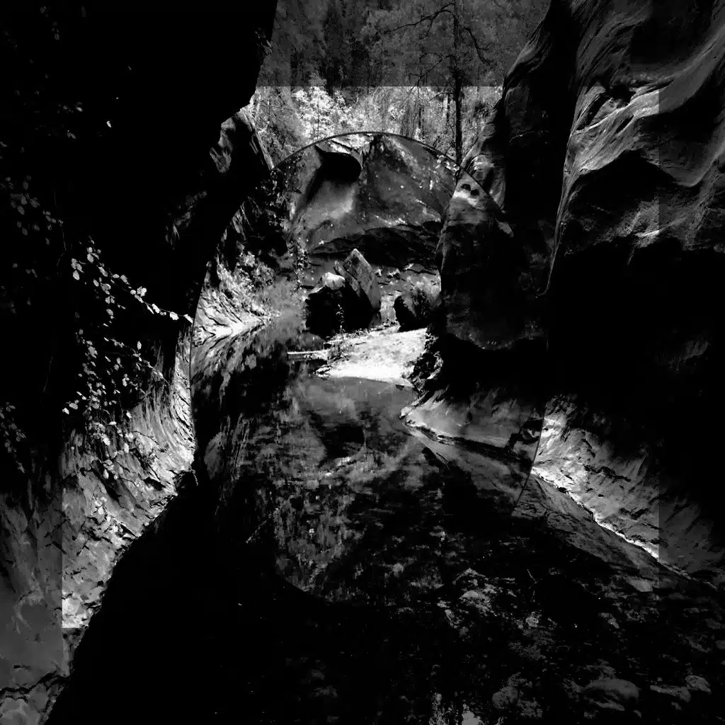 From The Bottom Of The Well