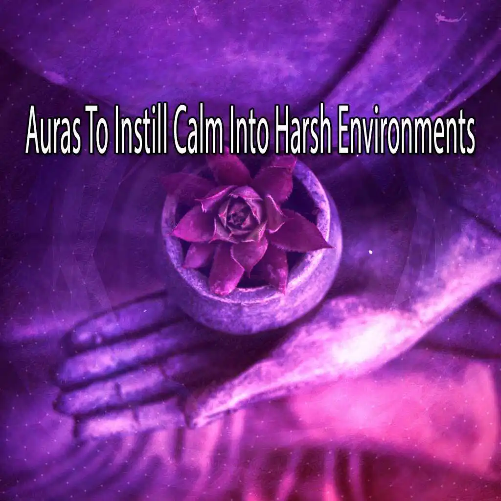 Auras To Instill Calm Into Harsh Environments