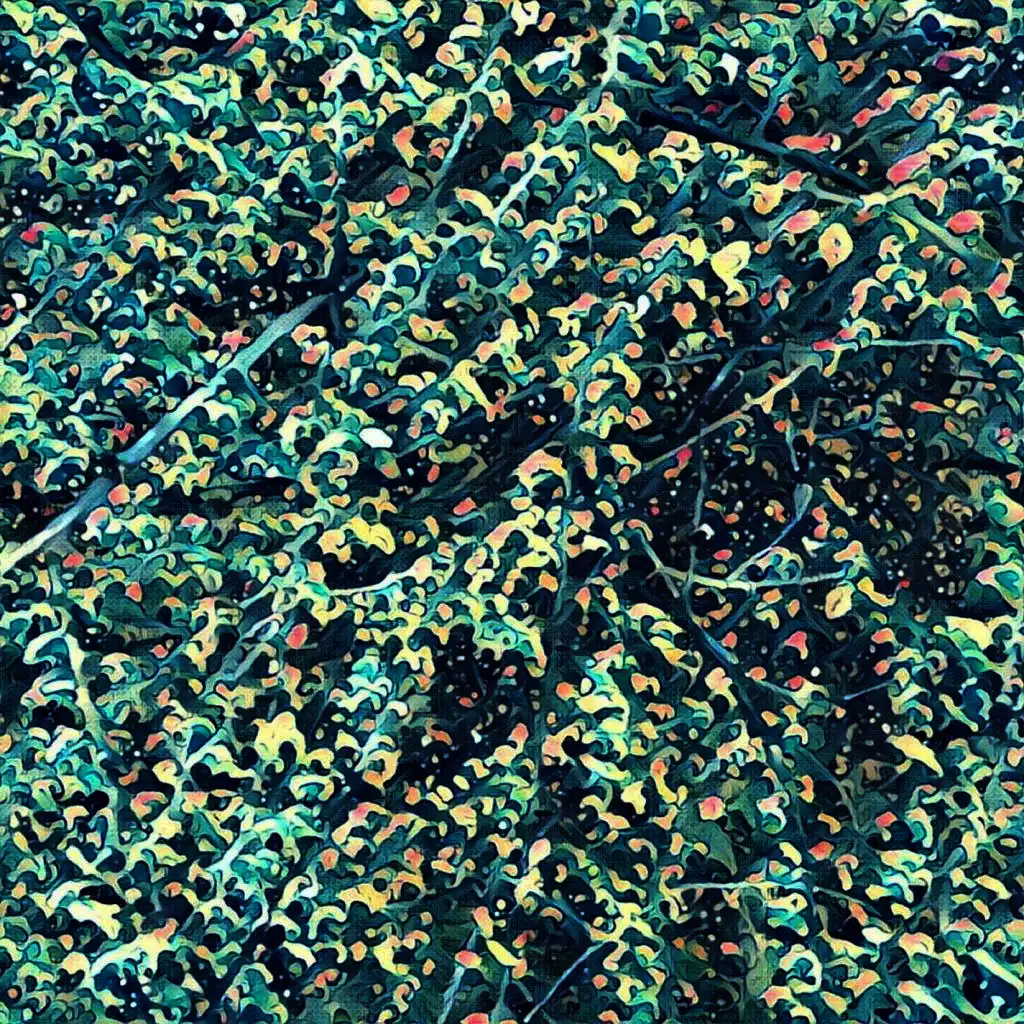 Parallax EP