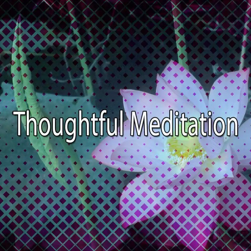 Thoughtful Meditation