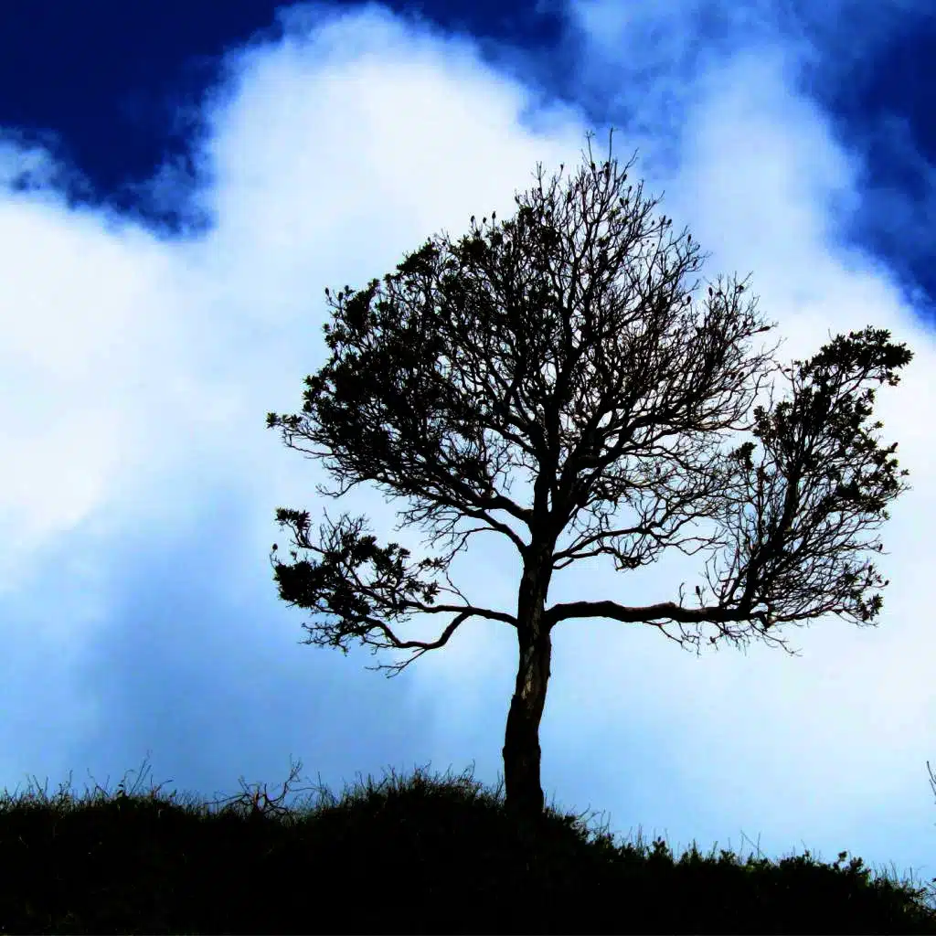 Sad Piano Music 2: Emotional Sentimental Dramatic Melancholy Instrumental Love Songs