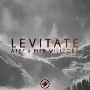 Levitate (with MTB Willford)