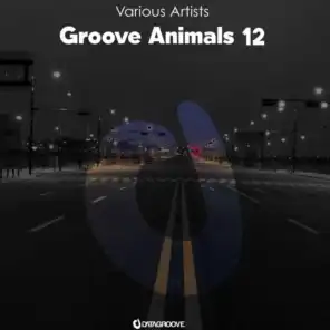 Groove Animals 12