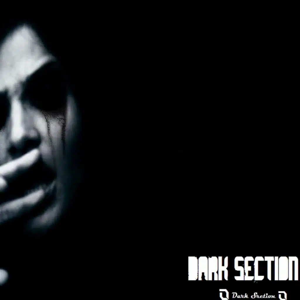 Dark Section Reloaded