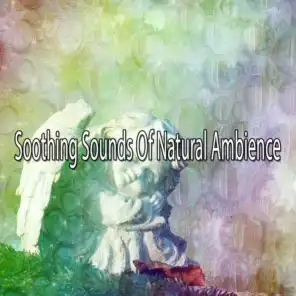 Soothing Sounds Of Natural Ambience