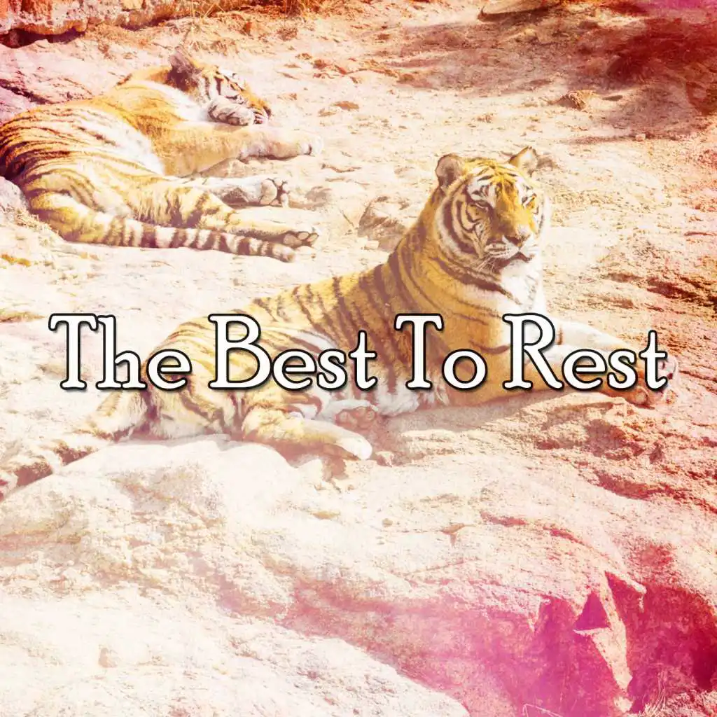 The Best To Rest