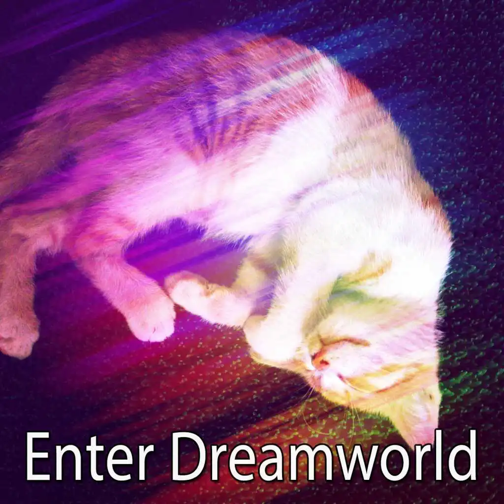 Enter Dreamworld
