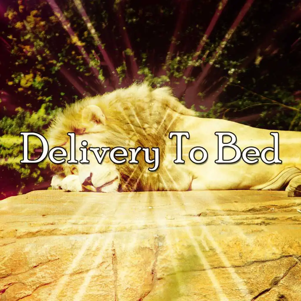Delivery To Bed