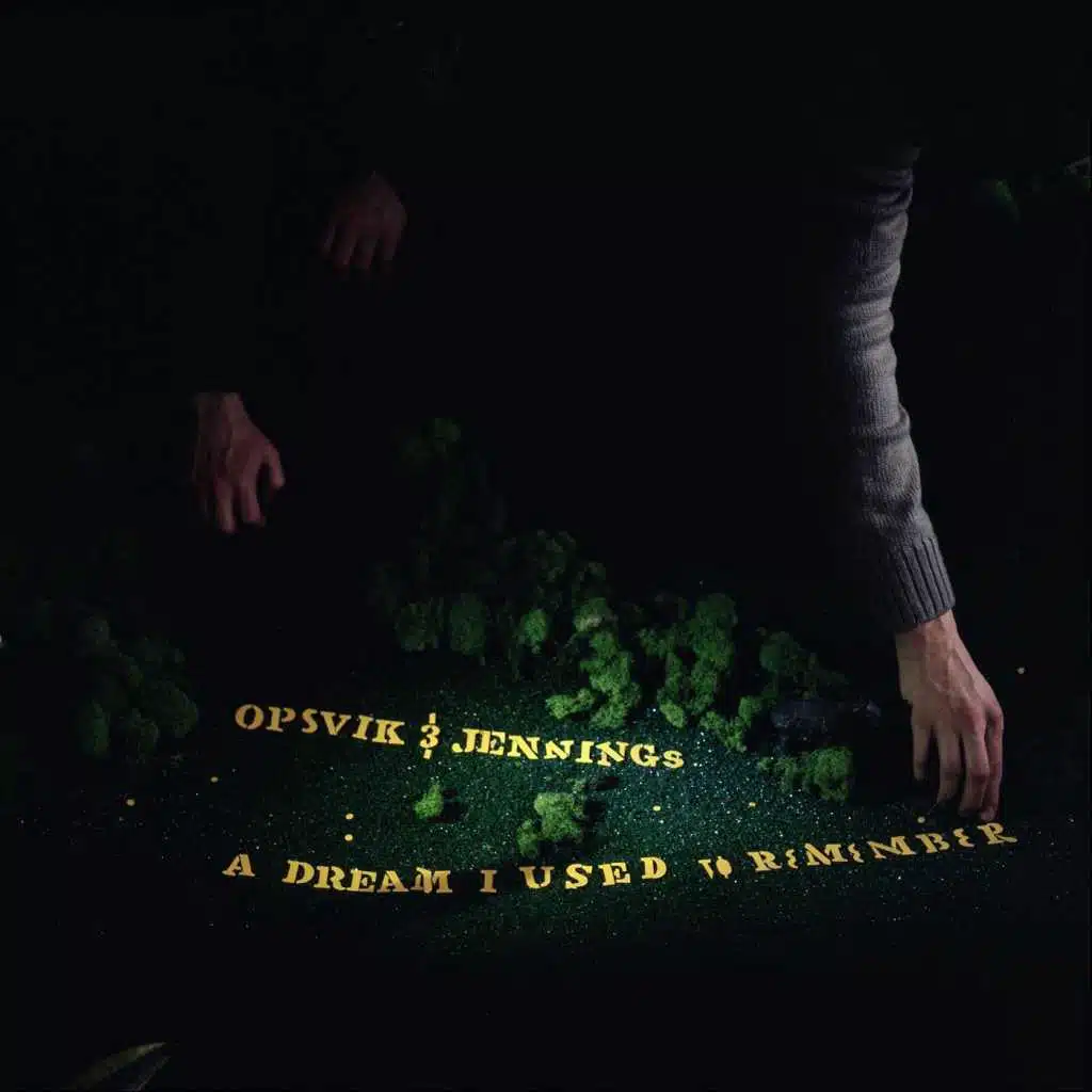 A Dream I Used to Remember