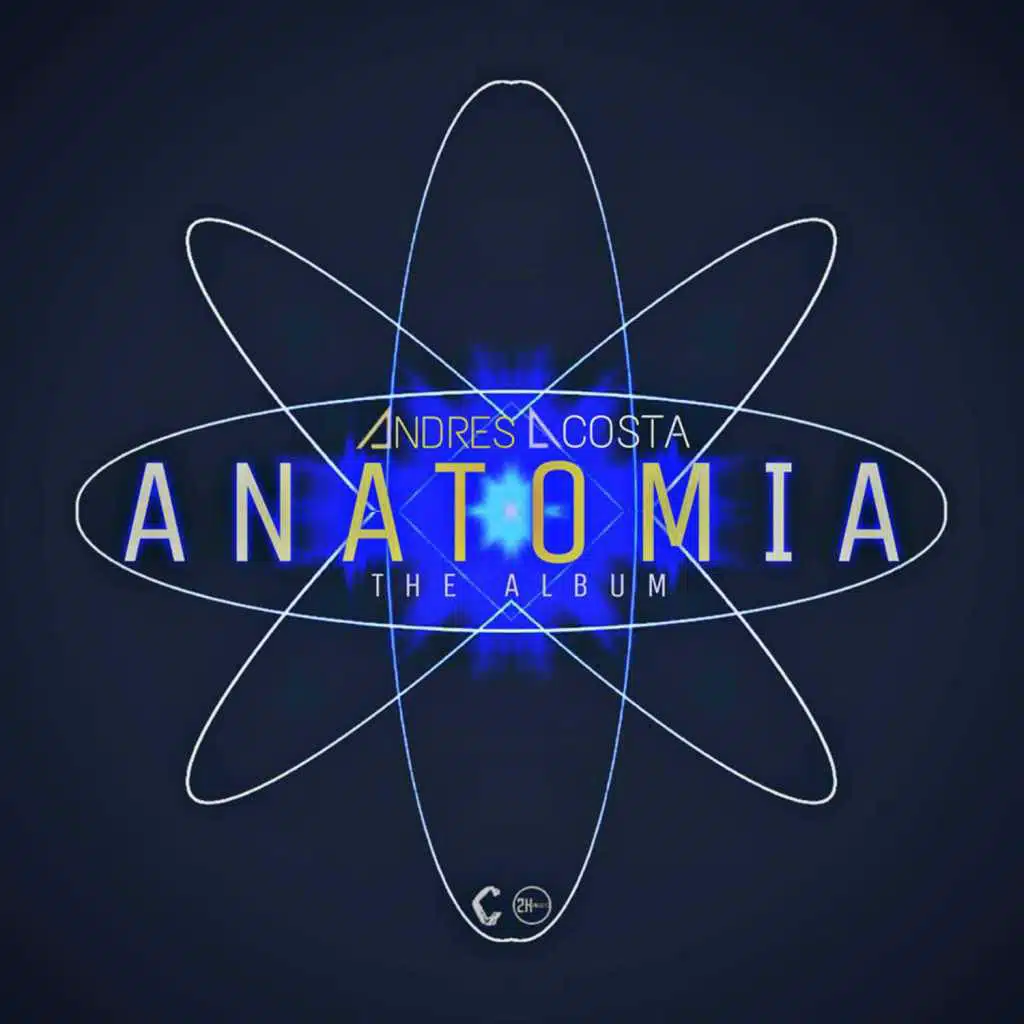 Anatomia