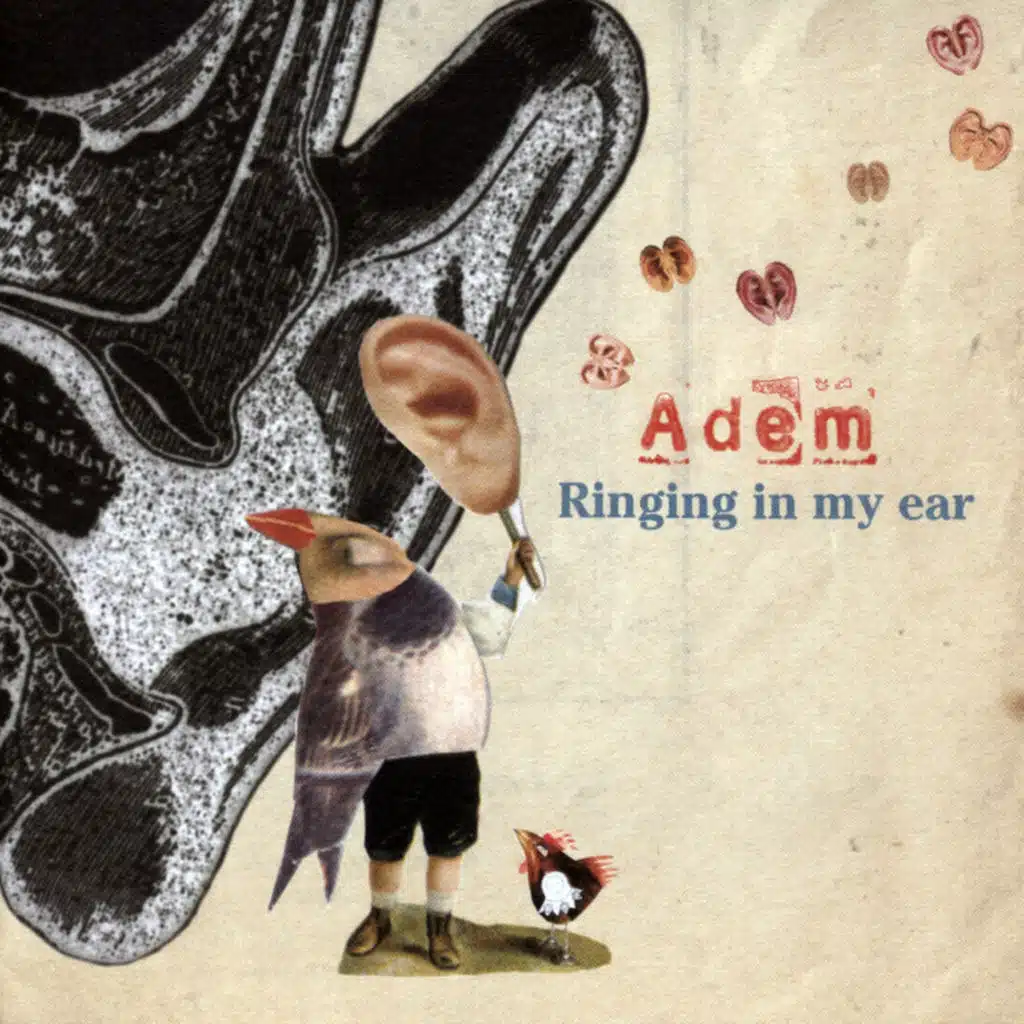Ringing In My Ear