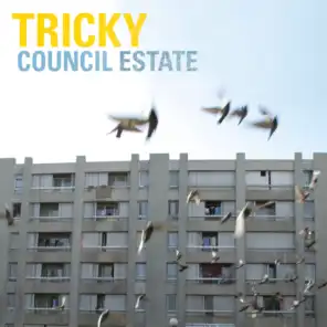 Council Estate (South Rakkas Mix)