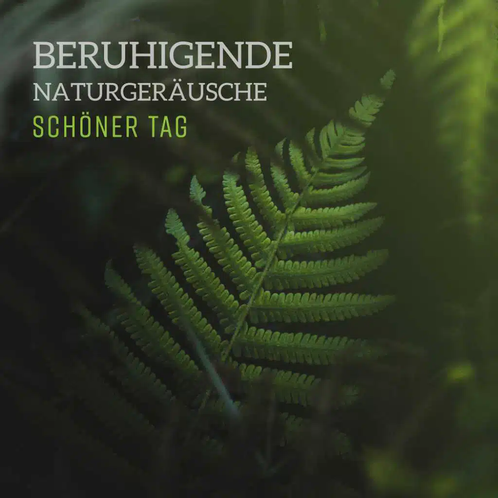 Beruhigende naturgeräusche – Schöner tag