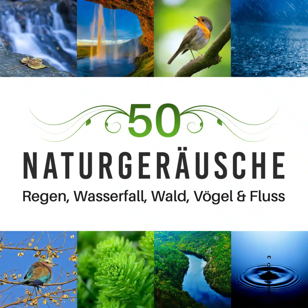 50 Naturgeräusche