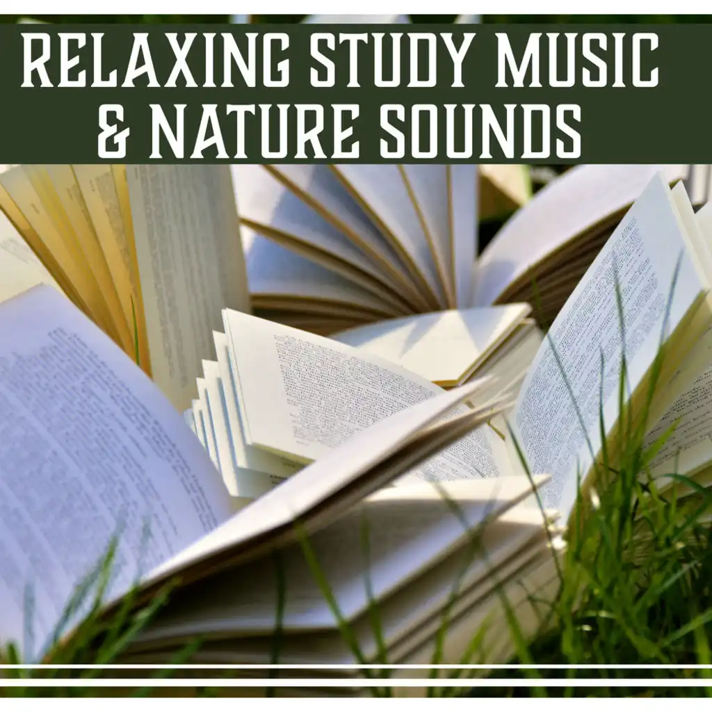 Nature Sounds for Concentration