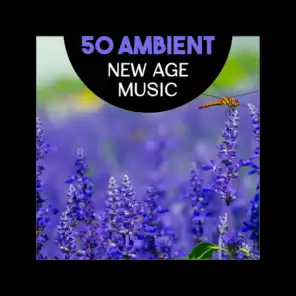 50 Ambient New Age Music – Peaceful Instrumental Tracks with Calming Nature Sounds for Meditation, Yoga, Stress Relief and Sleep