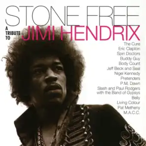 Stone Free: A Tribute to Jimi Hendrix
