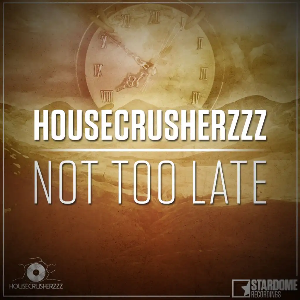Not Too Late (Funky House Brothers Edit)