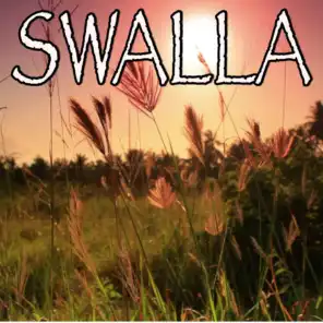 Swalla - Tribute to Jason Derulo and Nicki Minaj and Ty Dolla $ign (Instrumental Version)