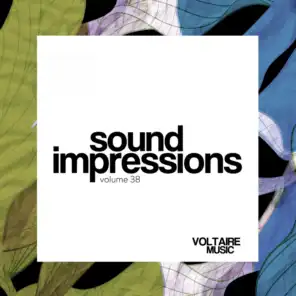 Sound Impressions, Vol. 38