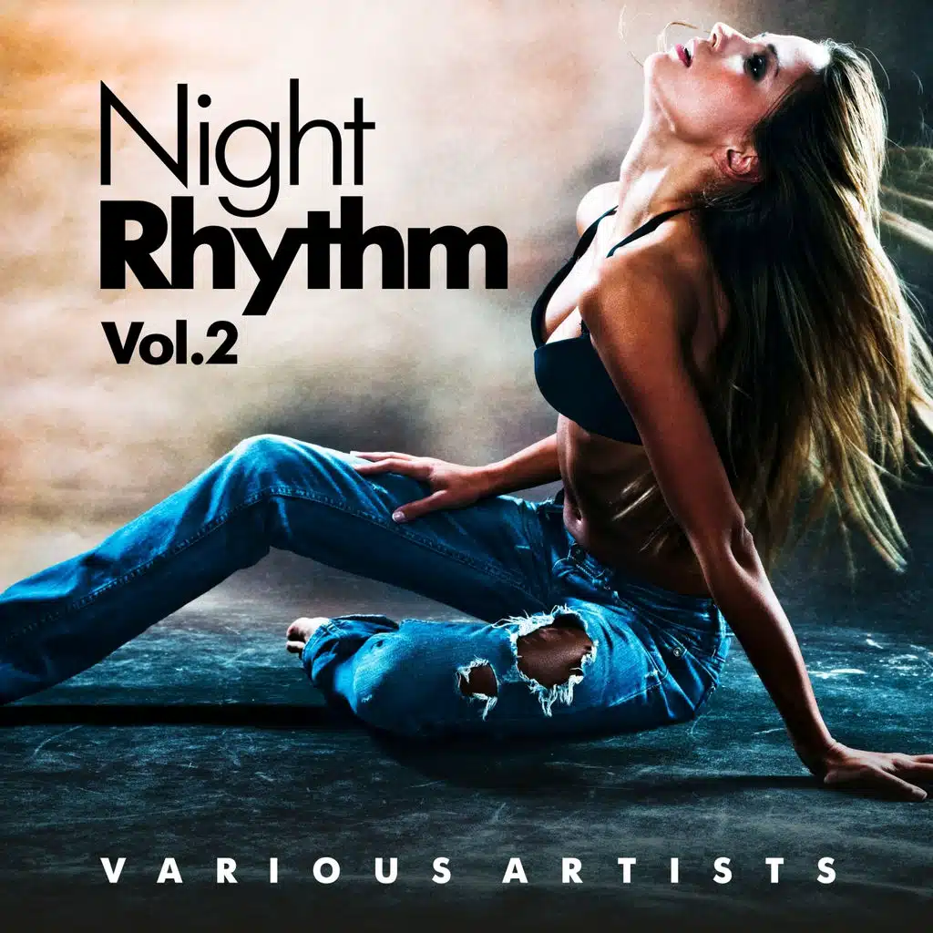 Night Rhythm, Vol. 2