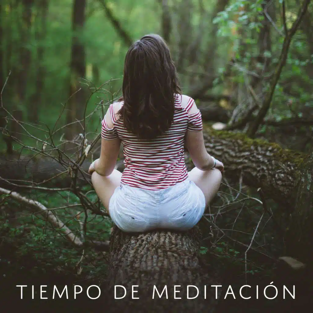 Tiempo de meditación