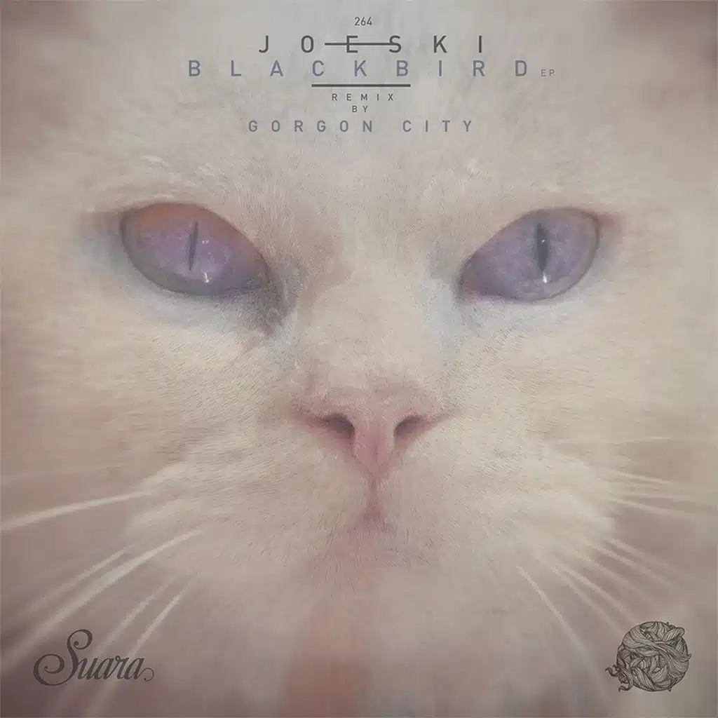 Blackbird (Gorgon City Remix)