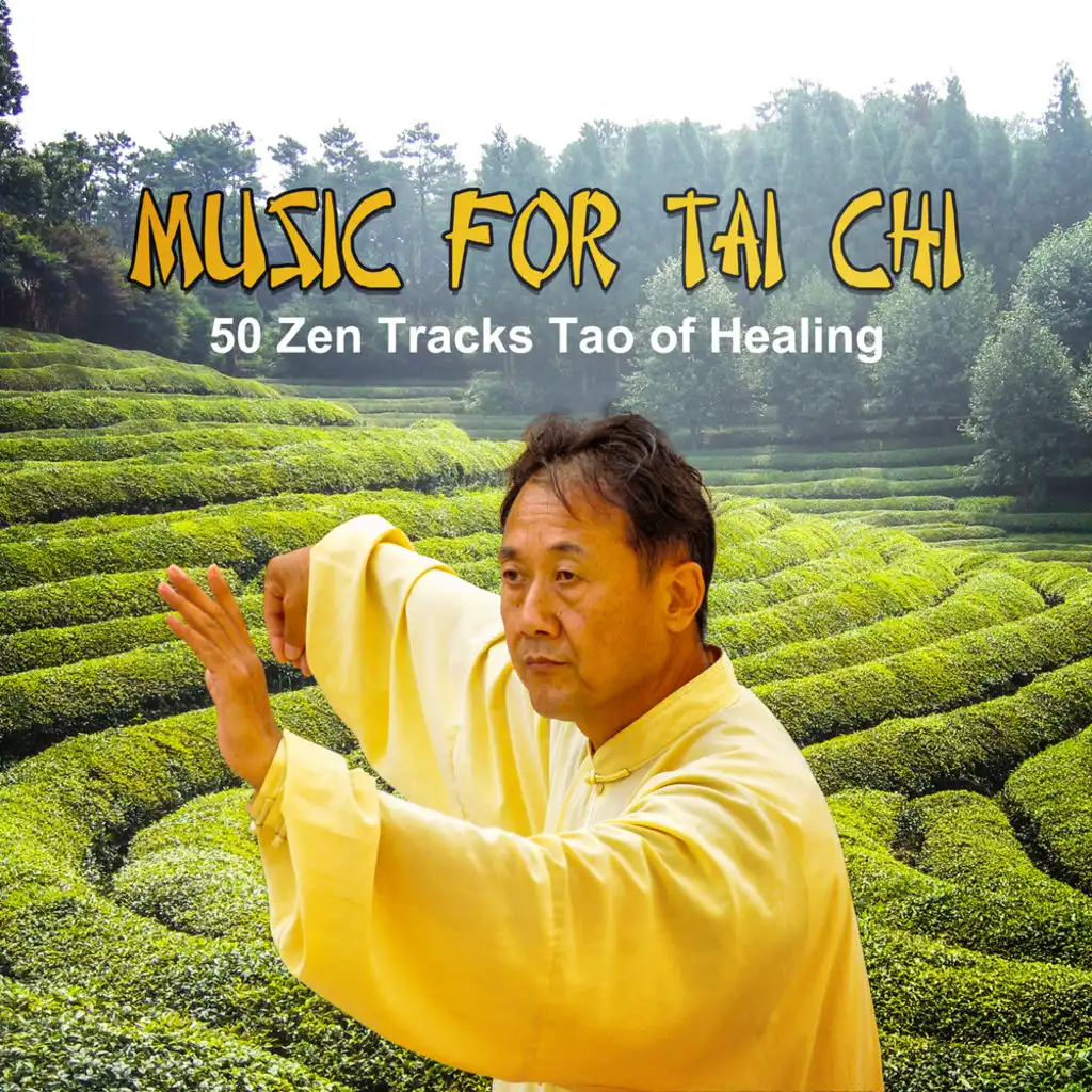 Music for Tai Chi: 50 Zen Tracks Tao of Healing