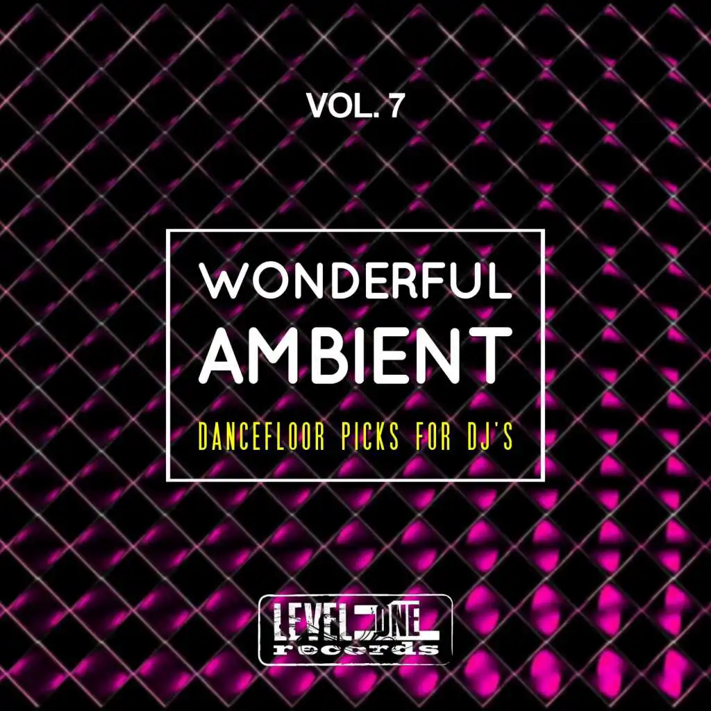 Wonderful Ambient, Vol. 7 (Dancefloor Picks For DJ's)