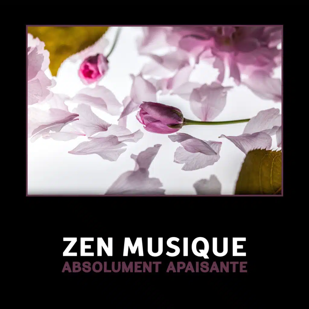 Zen musique absolument apaisante