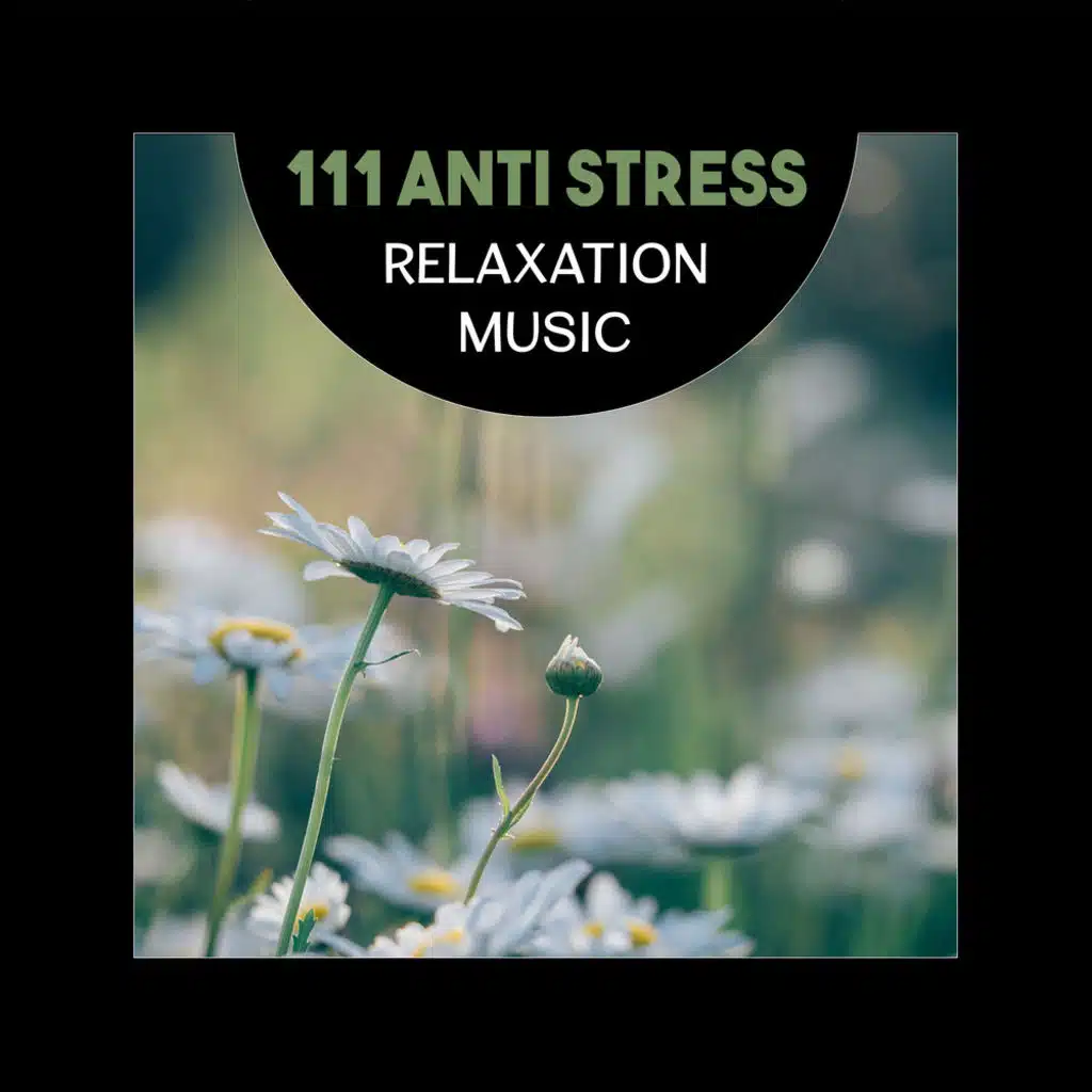 111 Anti Stress Relaxation Music – Soothing & Relaxing Therapy, Best Calming Music, Insomnia Cure, Anxiety & Stress Relief, Depression Help, Boost Self Confidence & Energy, Restful Sleep, Breathing Exercises