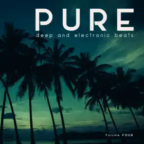 Pure, Vol. 4 (Deep & Electronic Beats)