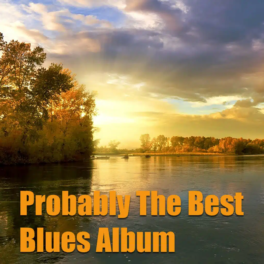 Probably The Best Blues Album