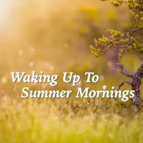 Waking Up To Summer Mornings