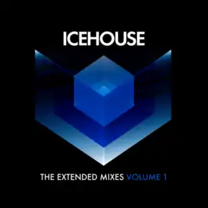 The Extended Mixes Vol. 1